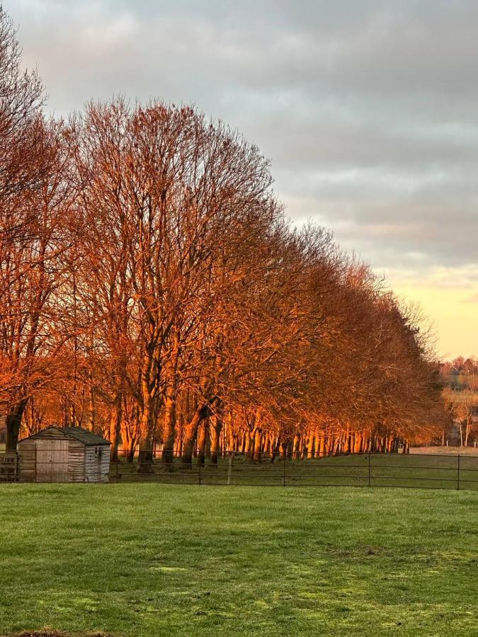 ワイモンダム The Pheasantry Bed & Breakfast エクステリア 写真