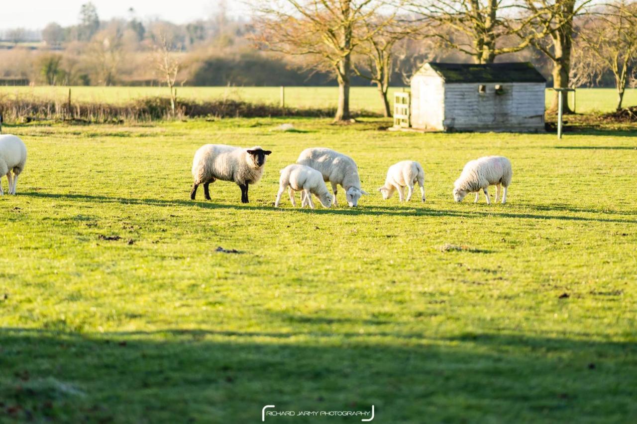 ワイモンダム The Pheasantry Bed & Breakfast エクステリア 写真
