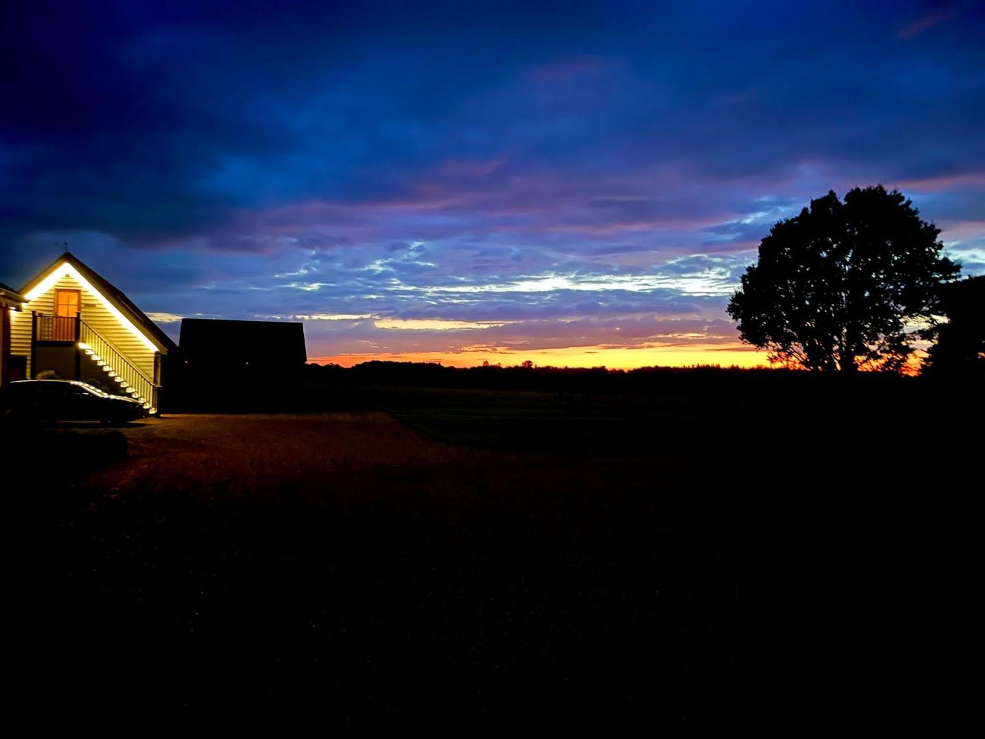 ワイモンダム The Pheasantry Bed & Breakfast エクステリア 写真